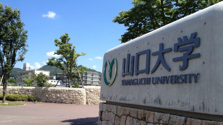 山口大学