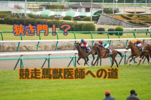 競馬