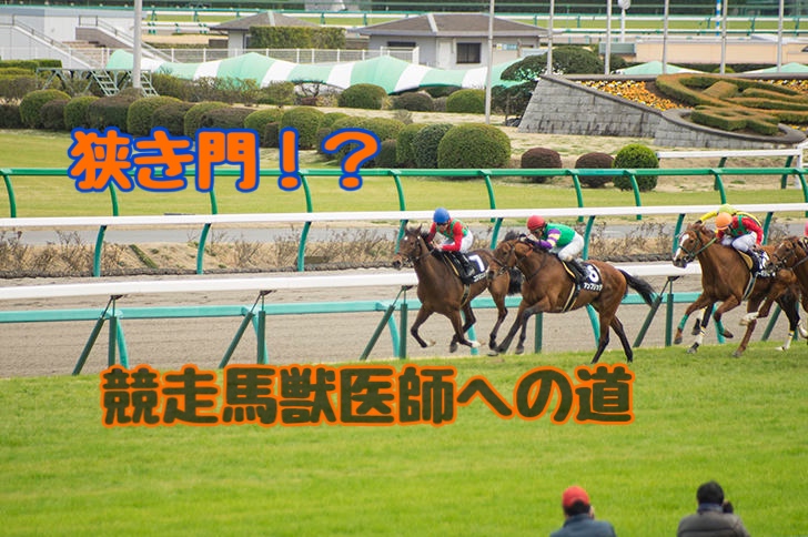競馬