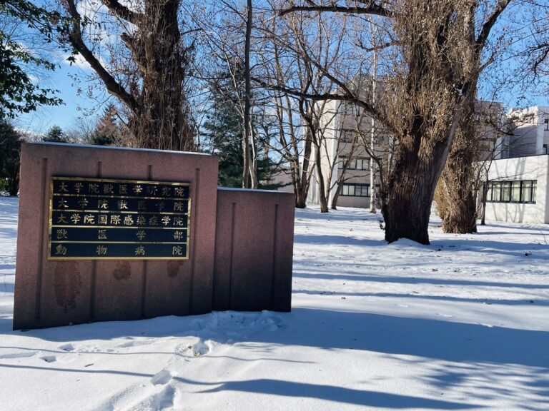 北海道大学獣医学部