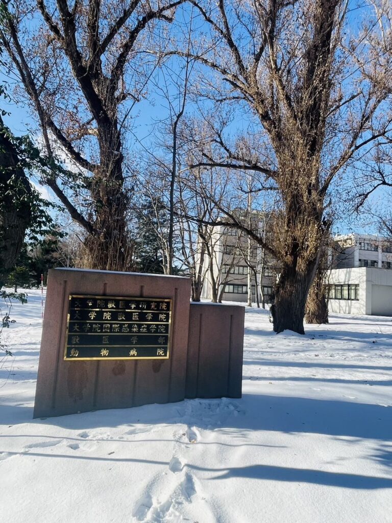 北海道大学獣医学部