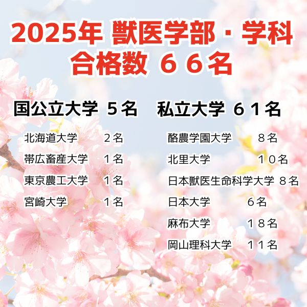 獣医学部合格実績_2025