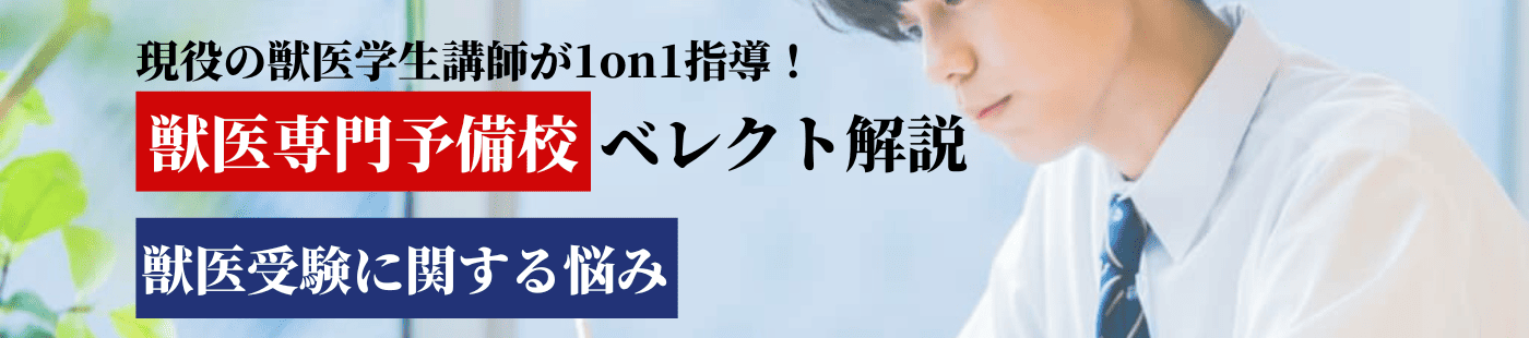 獣医になりたいけど、頭悪い