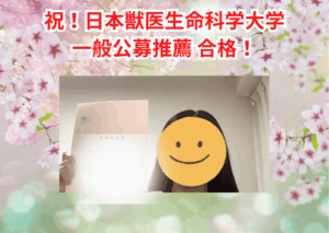 合格者インタビュー_日獣Nさん