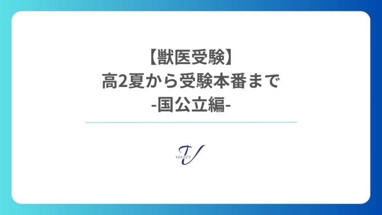 国公立 獣医学部 受験スケジュール