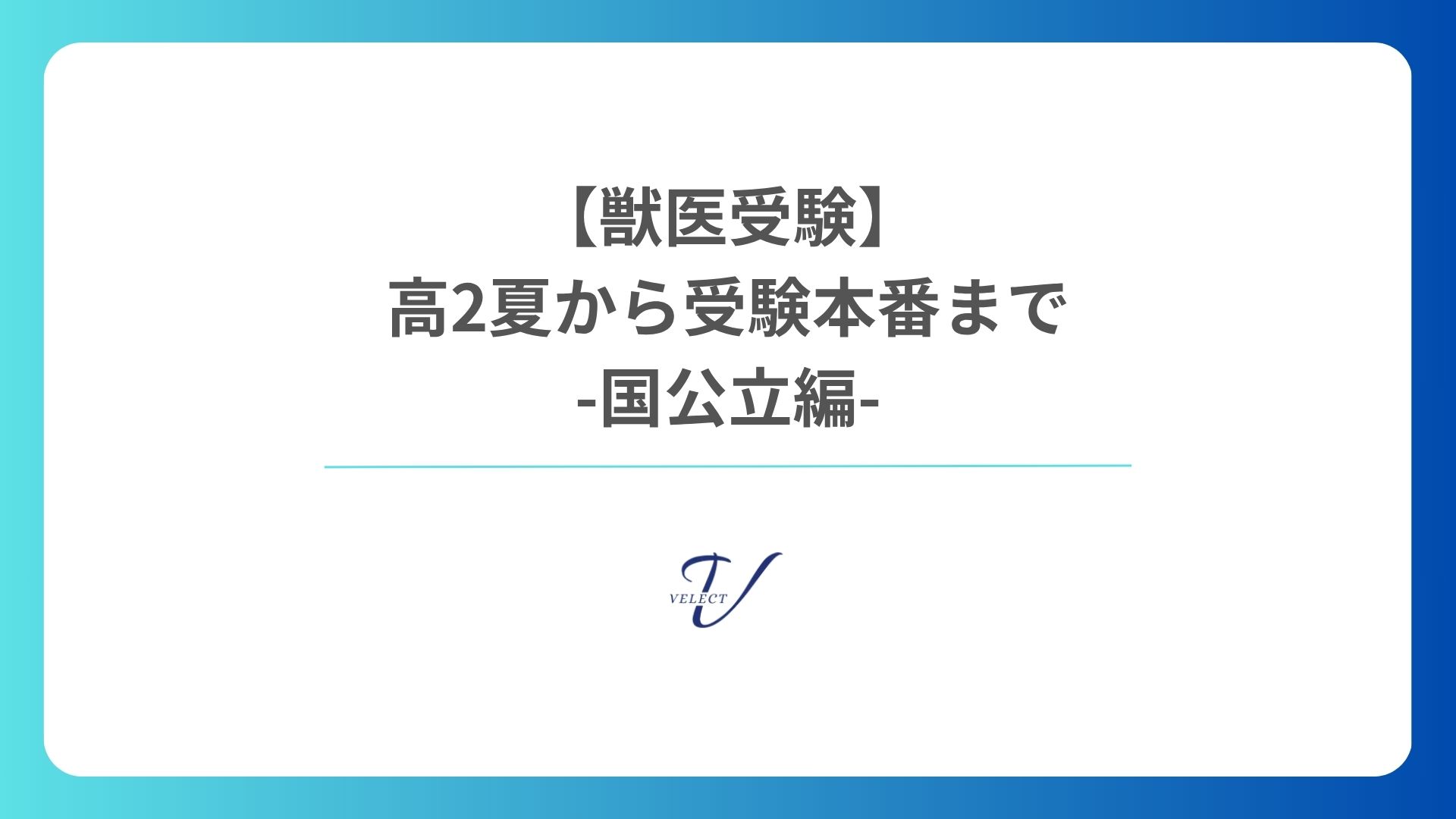 国公立 獣医学部 受験スケジュール